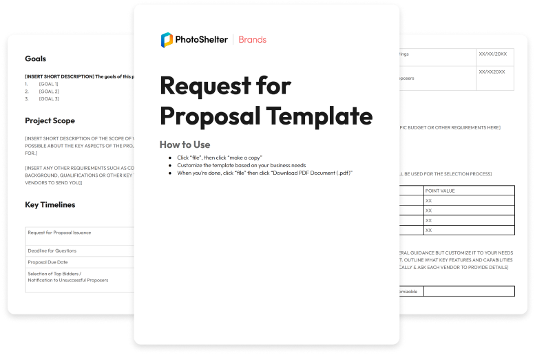 Get the Digital Asset Management RFP Template